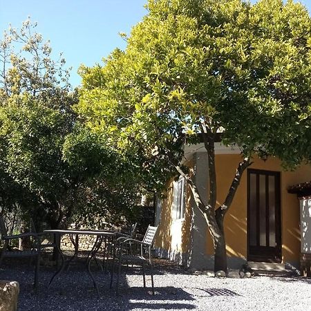 Agriturismo Ardissone Thomas Borganzo Eksteriør bilde